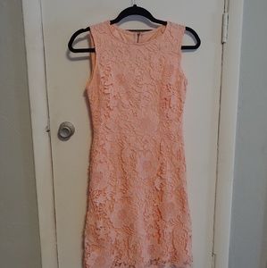 Light Pastel Pink Lace Dress Ryan Michelle